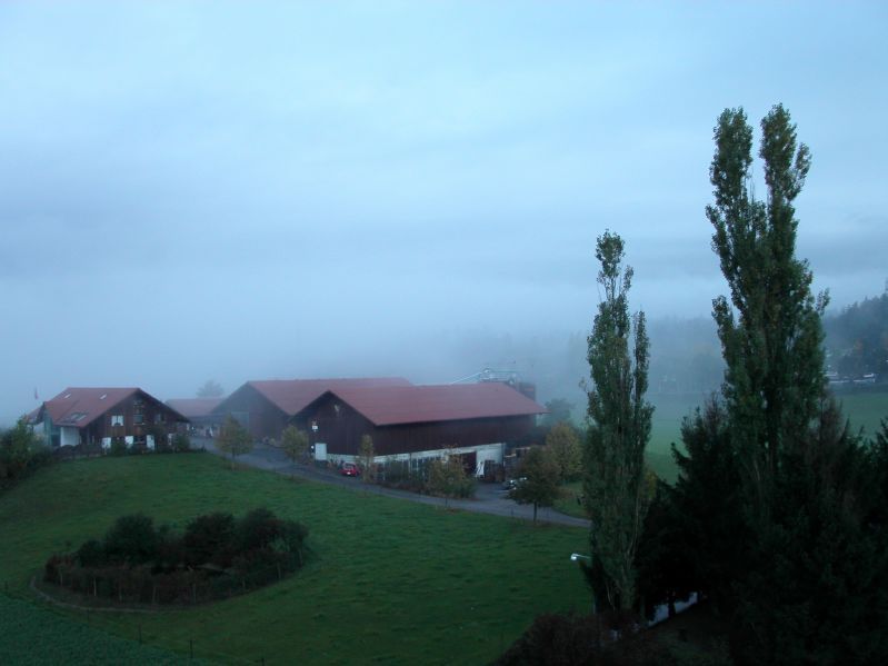 Bauernhof